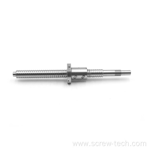 High accuracy customsized ball screw for gantry robot